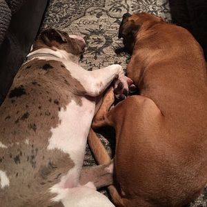 Meet your Posher, Jenelle